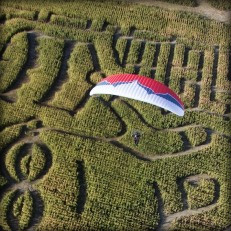 Photo de la Spyder Ozone