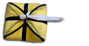 Angel - Parachute de secours Ozone